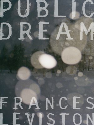 cover image of Public Dream
